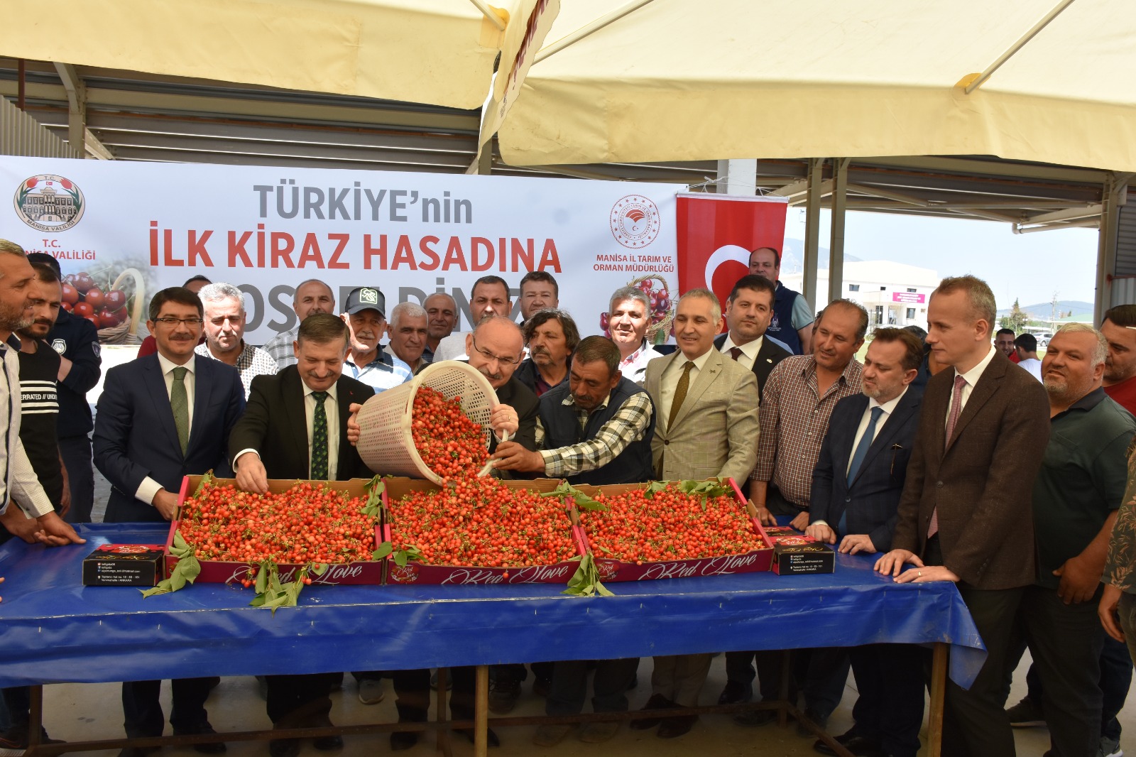 Kuzey yarımkürenin ilk kirazı, kilosu 700 liradan satıldı